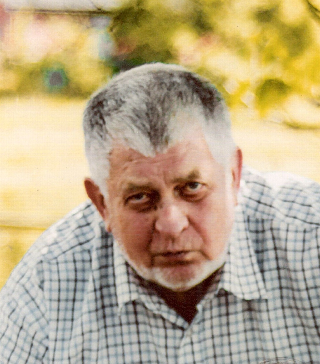 VILJEM TREPPO