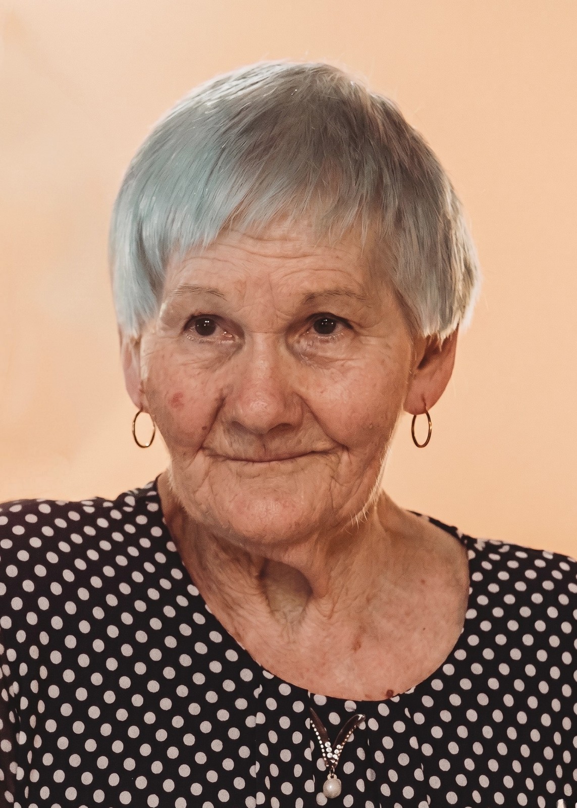 ALOJZIJA ŠKRLEC