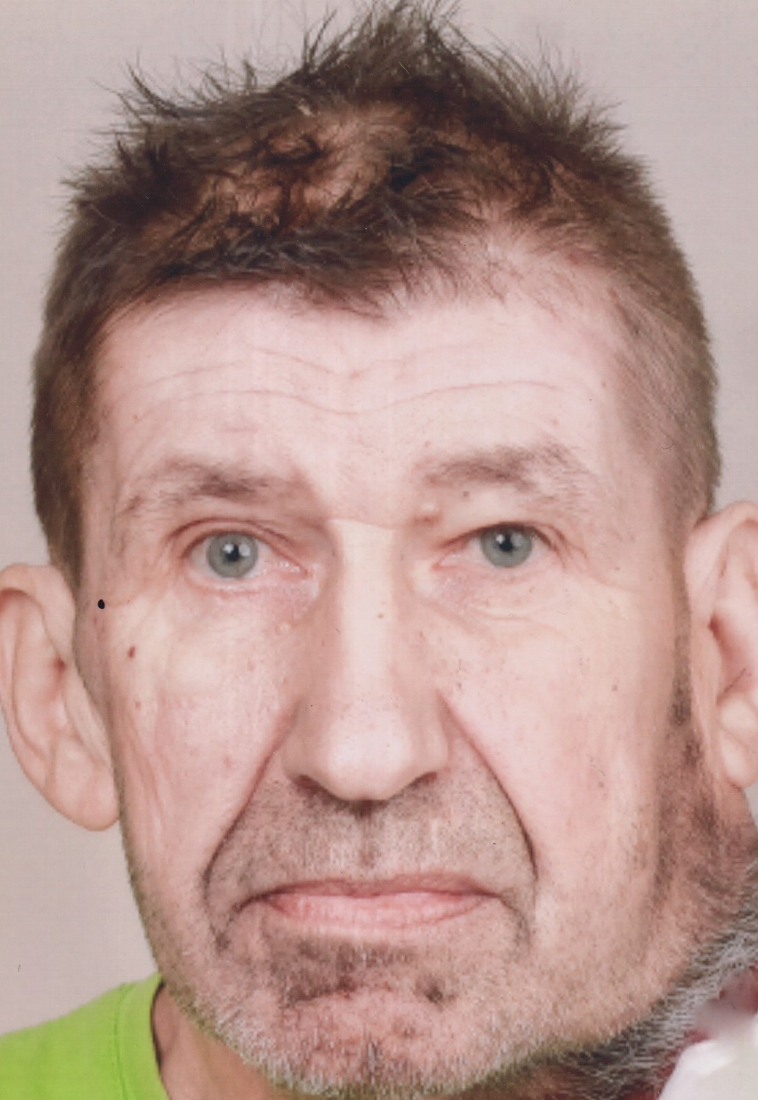STANKO PLOJ